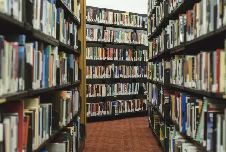 Сучасна література: як обрати книгу, огляд нашумілих романів