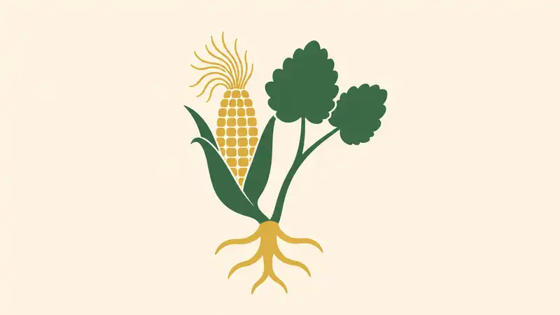 Corn Silk vs Marshmallow Root: How Plant Structure Changes the Comparison